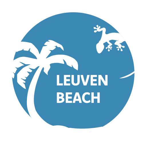 Leuven Beach