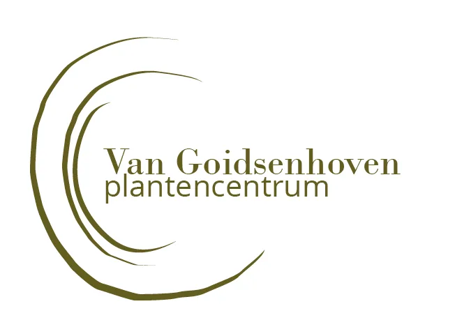 Van Goidsenhoven